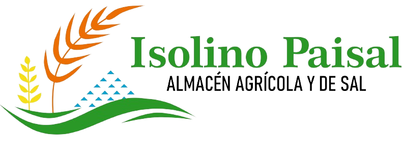 LOGO_11_Recortado-removebg-preview